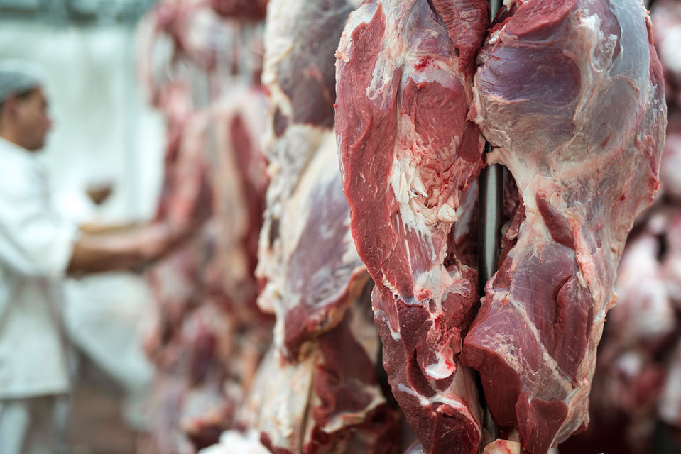 El mercado de la carne es un mercado exigente no sólo en términos de calidad y certificación sanitaria sino cada vez más de trazabilidad