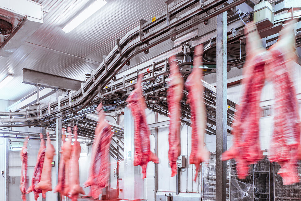 Le marché de la viande est un marché exigeant non seulement en termes de qualité et de certification sanitaire mais de plus en plus en termes de traçabilité