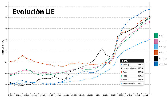 Evolucion  precio de la cane en España  2022-principio 2023